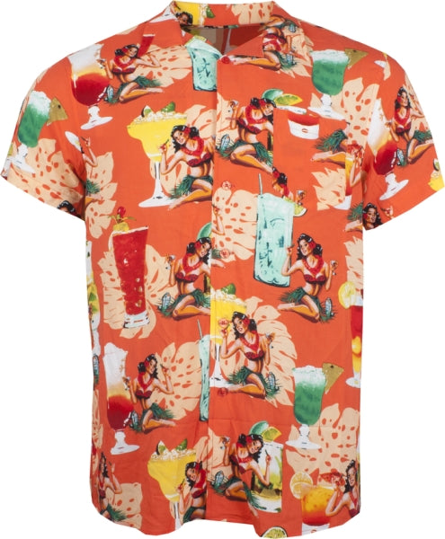 indicode hawaii